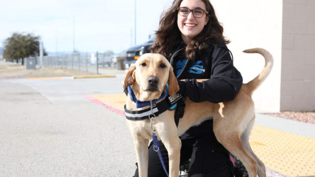 Photo Credit: Rita Blackwell from Paws for Life